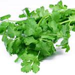 Image for Coriander - Fresh