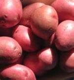 Image for Potatoes -  Washed Reds